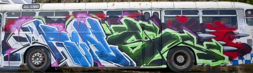 Reals-IronlakBus_LukeShirlaw_mg_2394.jpg