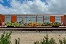 IMG_6125.jpeg