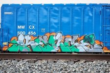 IMG_7076.jpeg