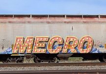 IMG_7073.jpeg
