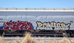 IMG_7072.jpeg