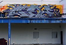 NME-Bio-roof-style…editjpg-1.jpg