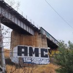 IMG_7644.jpeg