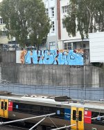 IMG_7703.jpeg