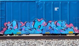 IMG_7853.jpeg