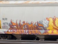 IMG_7852.jpeg