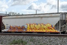 IMG_7851.jpeg