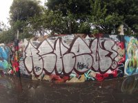 IMG_8073.jpeg