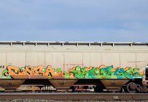 IMG_8049.jpeg