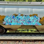 IMG_8494.jpeg