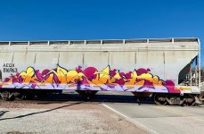 IMG_8356.jpeg
