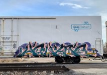IMG_8355.jpeg