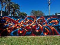 IMG_8317.jpeg