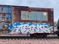 IMG_8348.jpeg