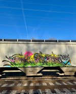 IMG_8286.jpeg