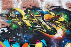 IMG_7953.jpeg