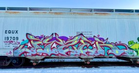 IMG_7631.jpeg