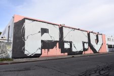 IMG_9501.jpeg