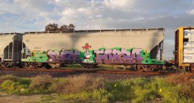 IMG_8486.jpeg