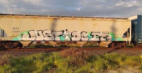 IMG_8487.jpeg