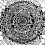 18380882_1968154622832384_n.png