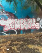 IMG_0694.jpeg
