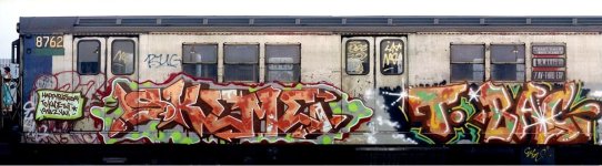 Photo+5+-+Skeme+Graffiti+on+a+Subway+Train.JPG