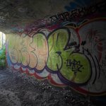IMG_1230.jpeg