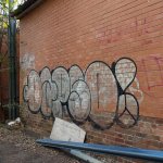 IMG_2304.jpeg