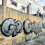 IMG_2173.jpeg