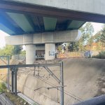 IMG_2291.jpeg