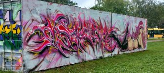IMG_2616.jpeg