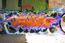 1294046_9efbc1af714e8eff97f9428ccf56a860.jpeg