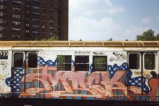 IMG_0551.jpeg