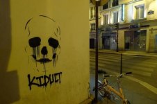 IMG_2950.jpeg