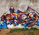 IMG_2955.jpeg