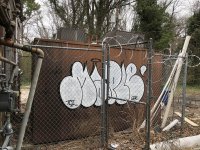 IMG_2956.jpeg