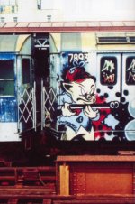 IMG_3041.jpeg