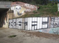 IMG_3356.jpeg