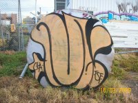IMG_3253.jpeg