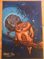 IMG_3110.jpeg