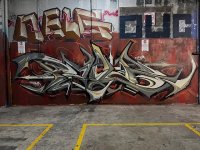 IMG_3242.jpeg