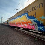 IMG_3461.jpeg