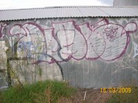 IMG_3254.jpeg