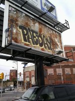 IMG_3211.jpeg