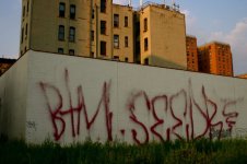 IMG_3219.jpeg