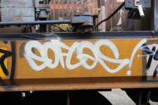IMG_3566.jpeg