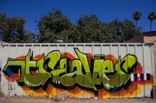 IMG_2962.jpeg