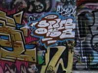 IMG_3785.jpeg