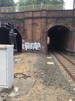 IMG_3806.jpeg